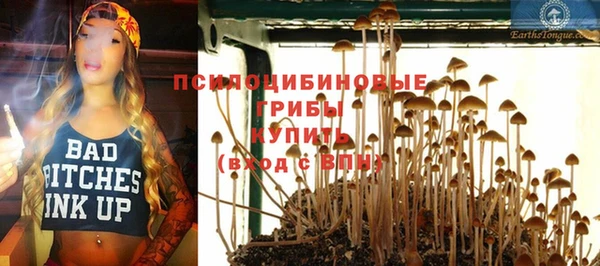 эйфоретик Абинск