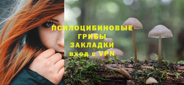амф Абаза