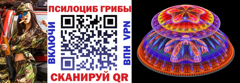 где купить наркоту  Кисловодск  Галлюциногенные грибы мицелий 