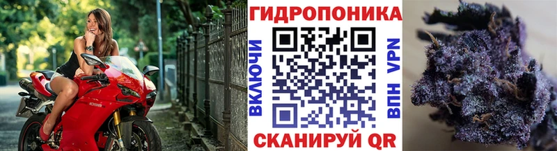 цена   Кисловодск  МАРИХУАНА AK-47 